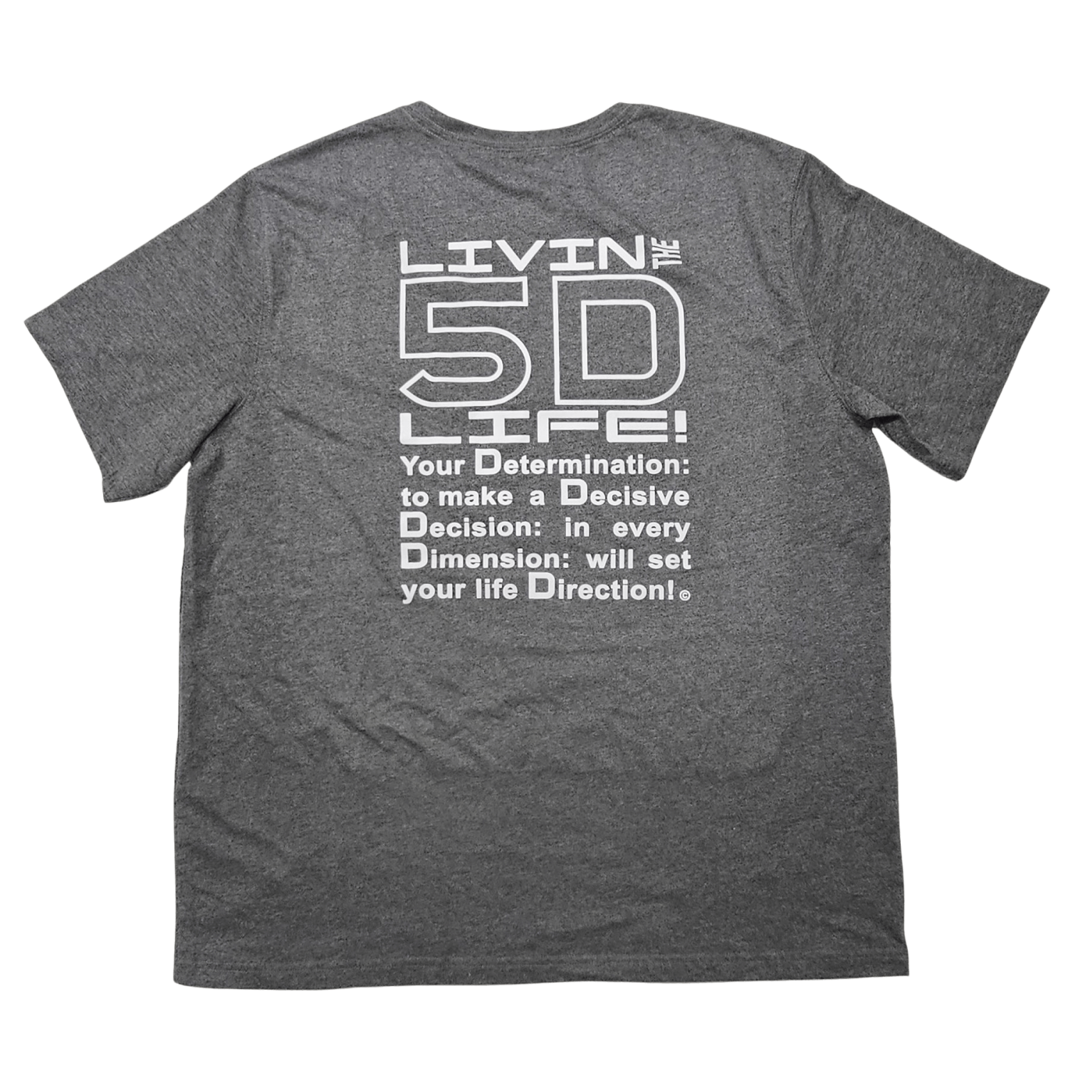 Gray T-Shirt | Life's Purpose What's Yours